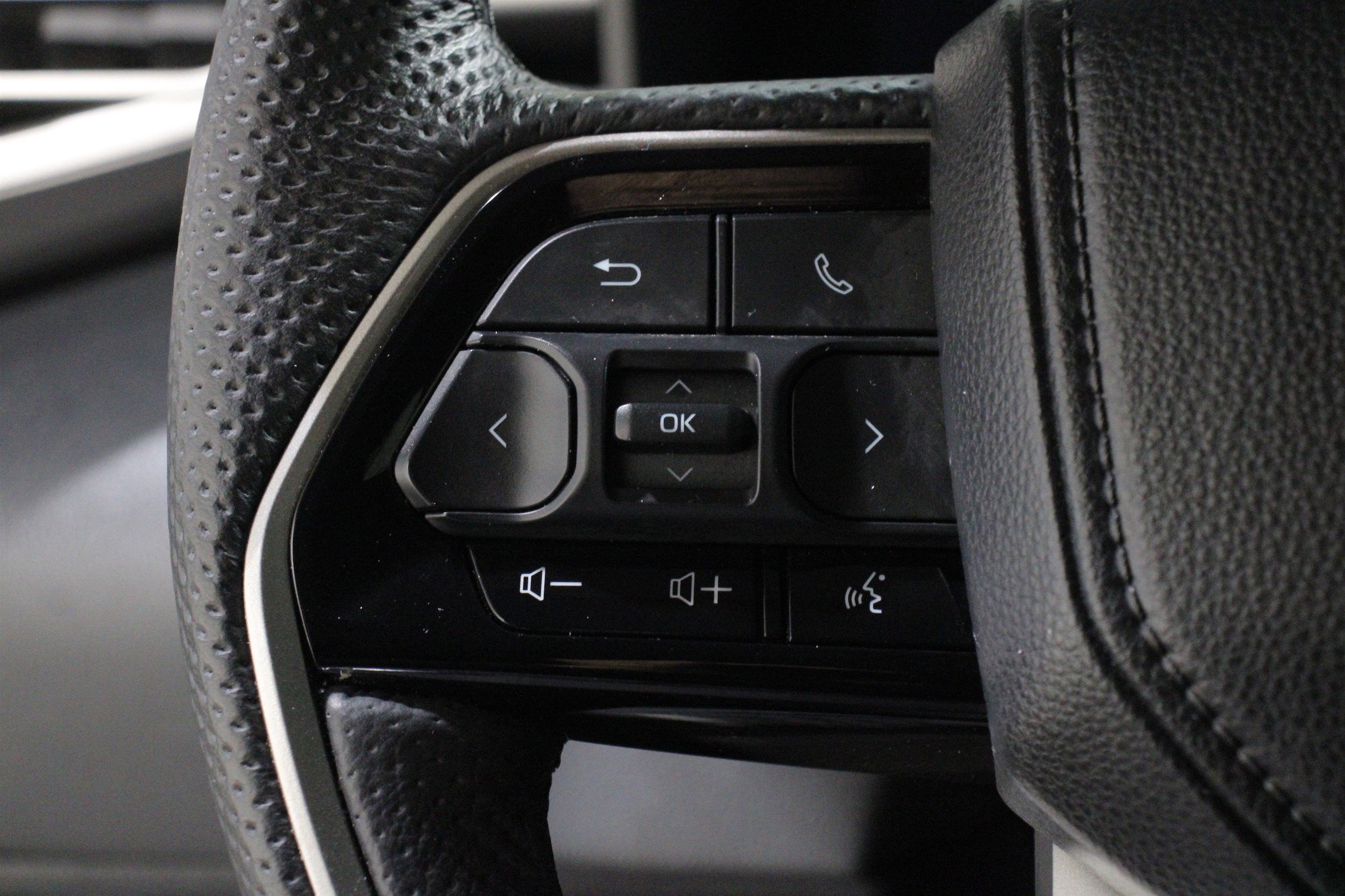 2024 Toyota Sequoia Limited - Photo 9