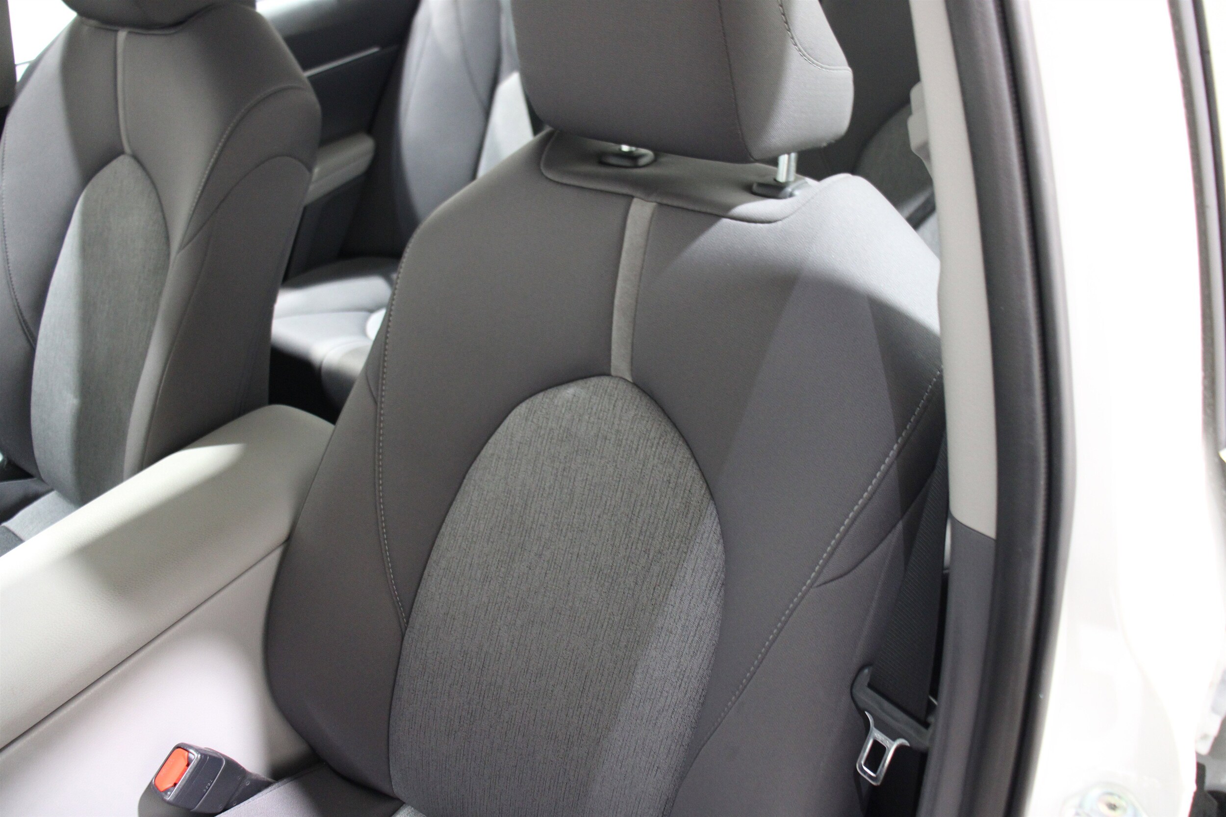 2024 Toyota Camry LE photo 3