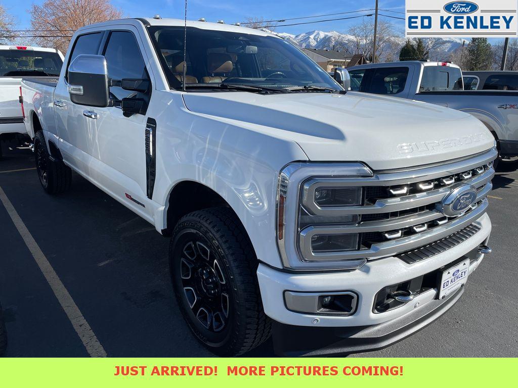 2024 Ford F-250 Super Duty Platinum's photo