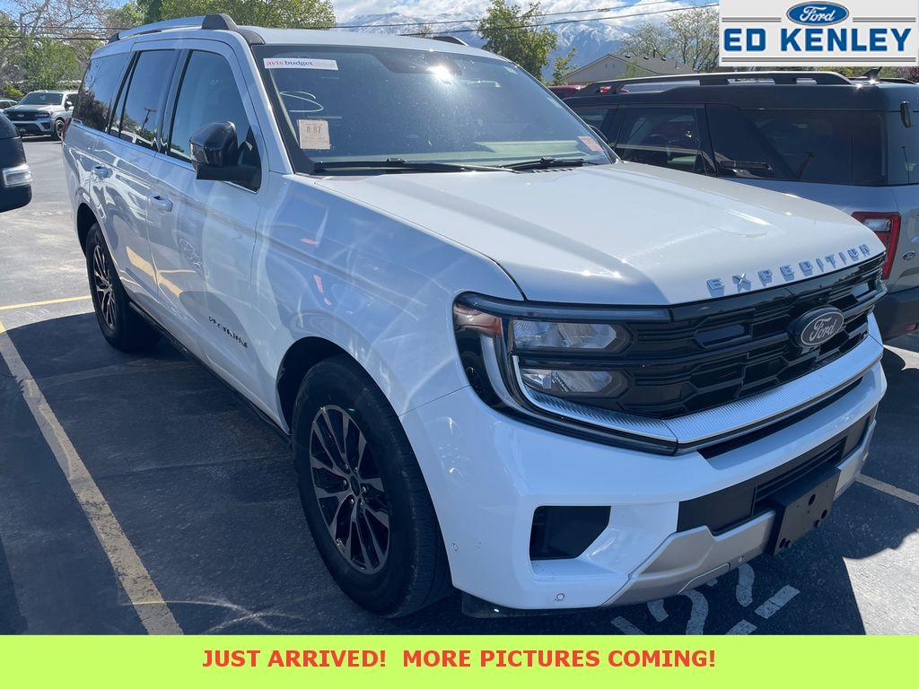 2025 Ford Expedition Platinum 4x4's photo