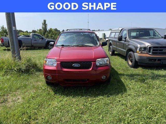 Used 2006 Ford Escape Limited with VIN 1FMYU94196KA34817 for sale in Greenville, MI