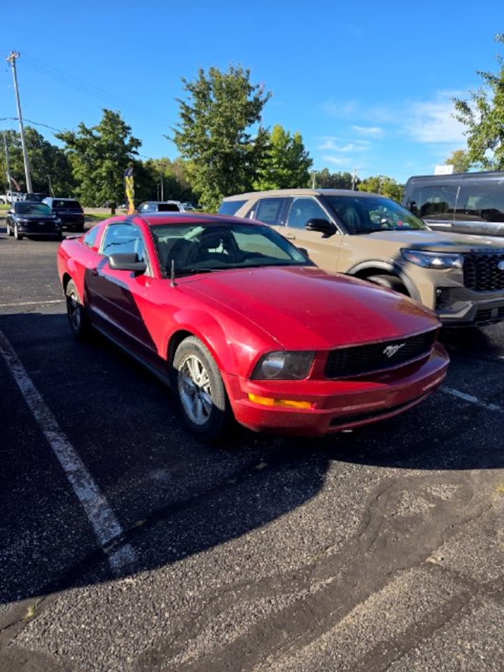 Used 2008 Ford Mustang V6 Deluxe Coupe