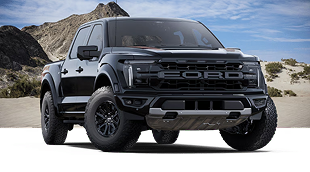Raptor