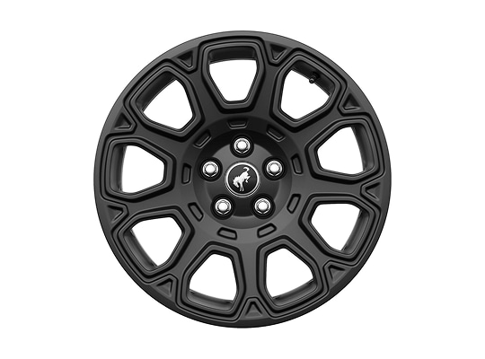 17 Matte Black-Painted Aluminum