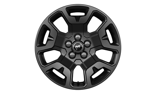 17 inch Matte Black-Painted wheel