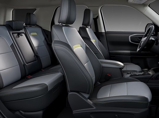 Dove Gray Inserts with Orchid Yellow Accents