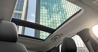 Every Day Is Sun Day