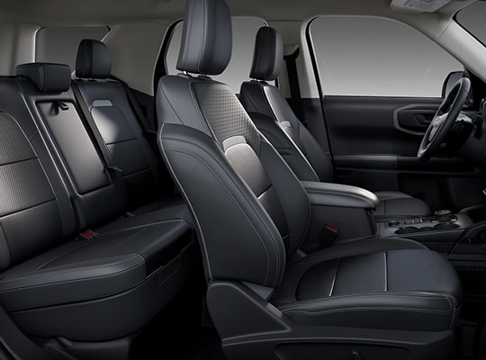 Leather Trimmed with Mini-Perforation