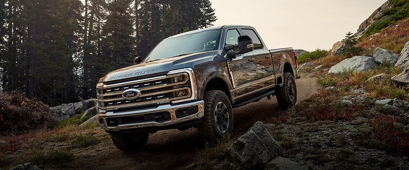 With Capability Comes Confidence