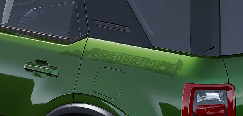 Sasquatch Graphic Package