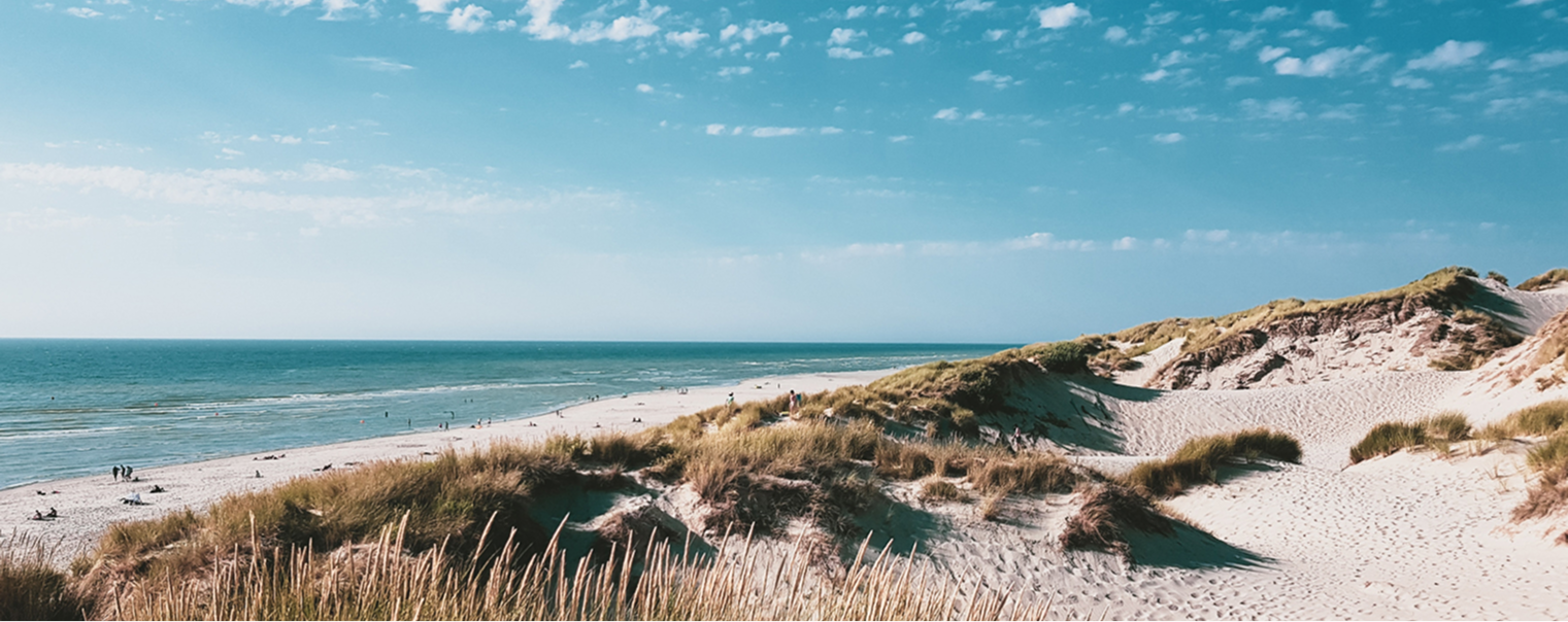 Ed Koehn Ford of Wayland Dealership