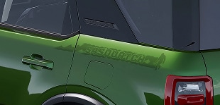 Sasquatch Graphic Package