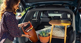 Cargo for Those Who Go, Go, Go