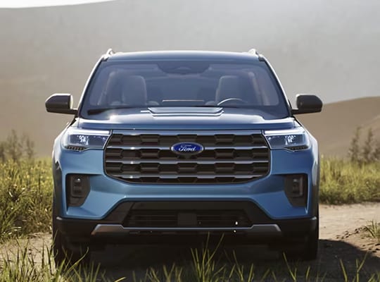 Grille Options