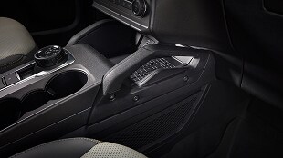 Available Interior Grab Handle