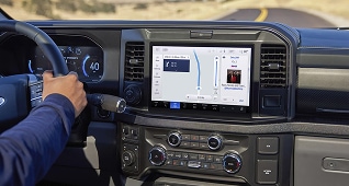 Mastermind Behind the Muscle