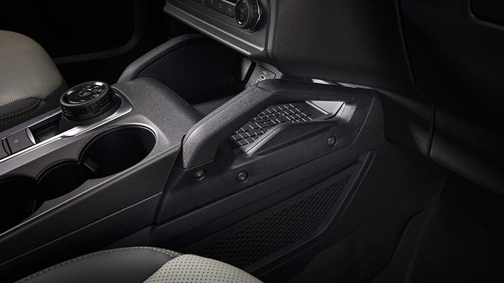 Available Interior Grab Handle