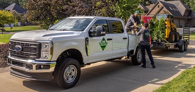 Class-Dominating Capability