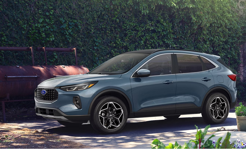 The Refinement of the Escape Platinum Model