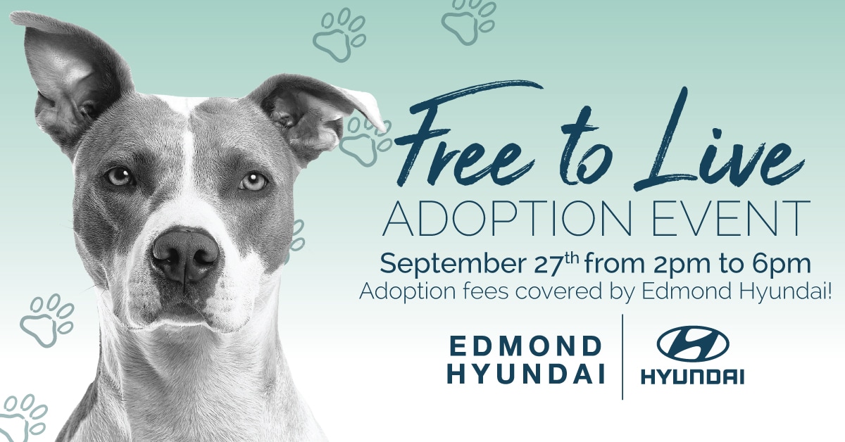 Free to Live Adoption Event at Edmond Hyundai