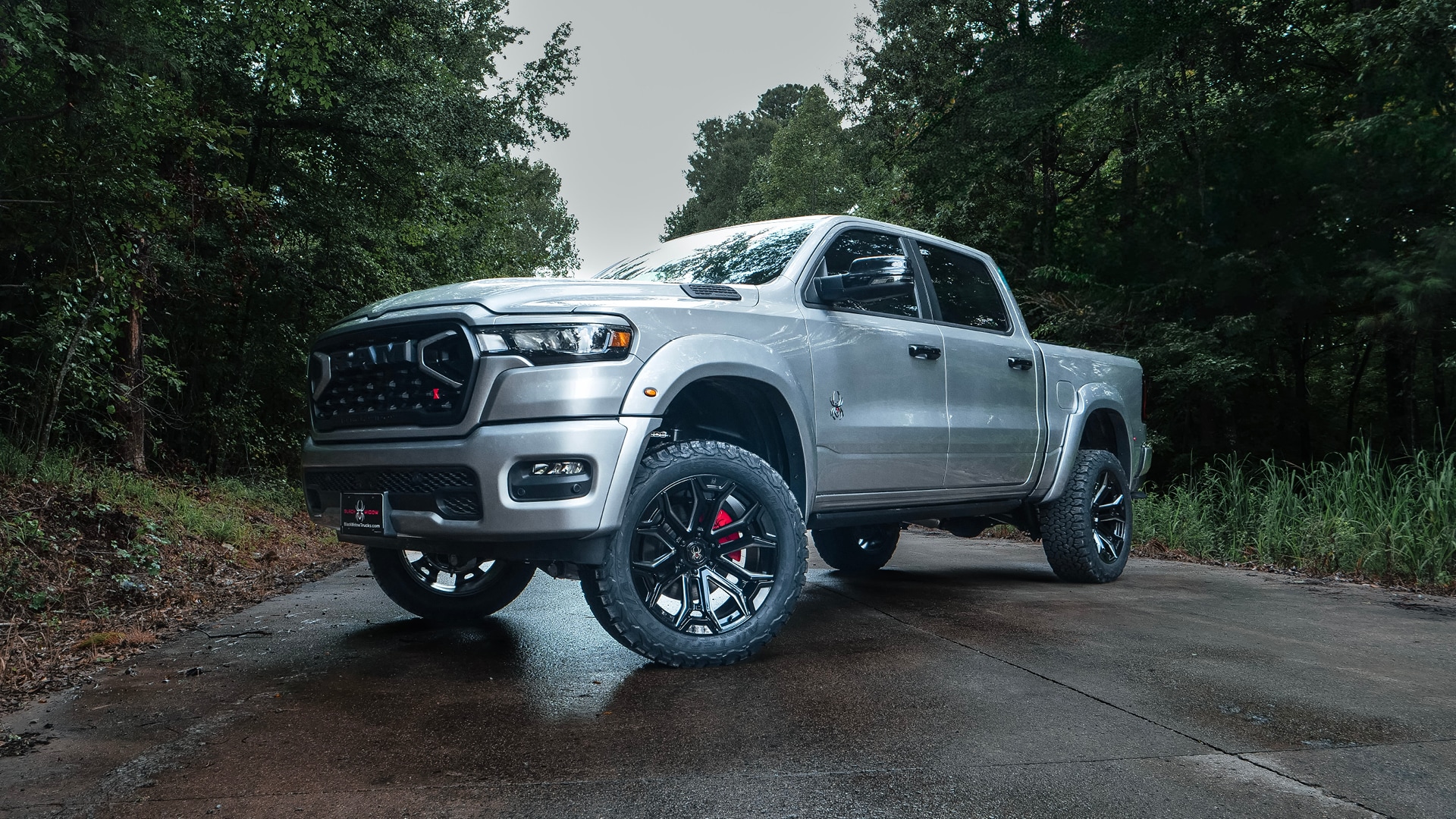 2025 Black Widow F-150