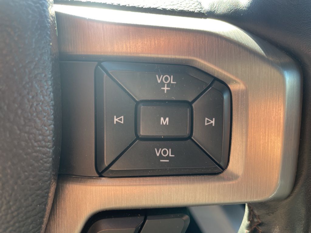2021 Ford F-250 Super Duty Platinum - Photo 28