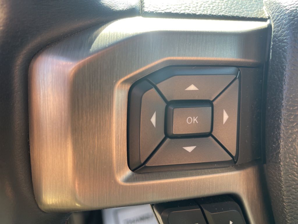 2021 Ford F-250 Super Duty Platinum - Photo 26