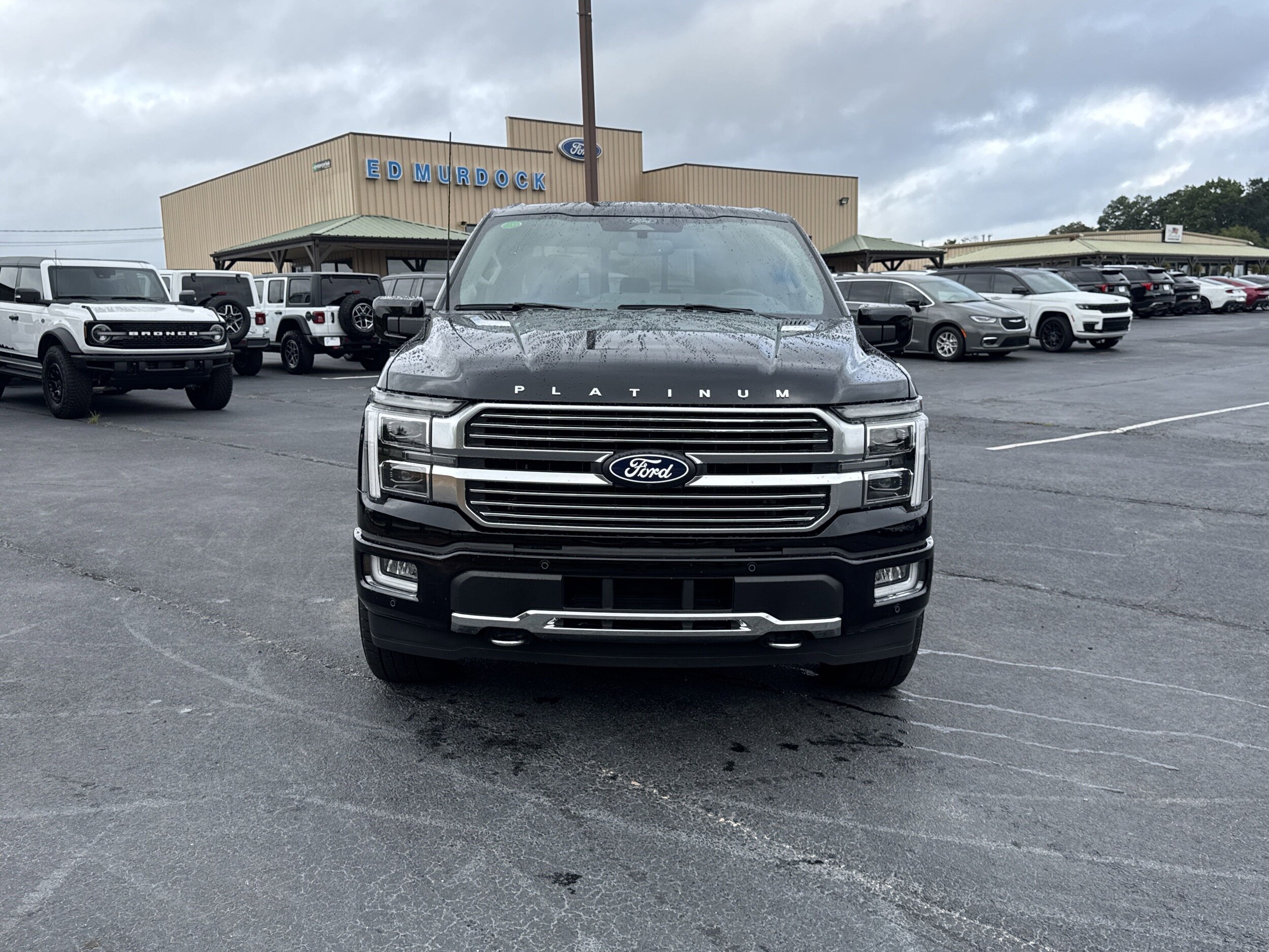 2024 Ford F-150 Platinum photo 3