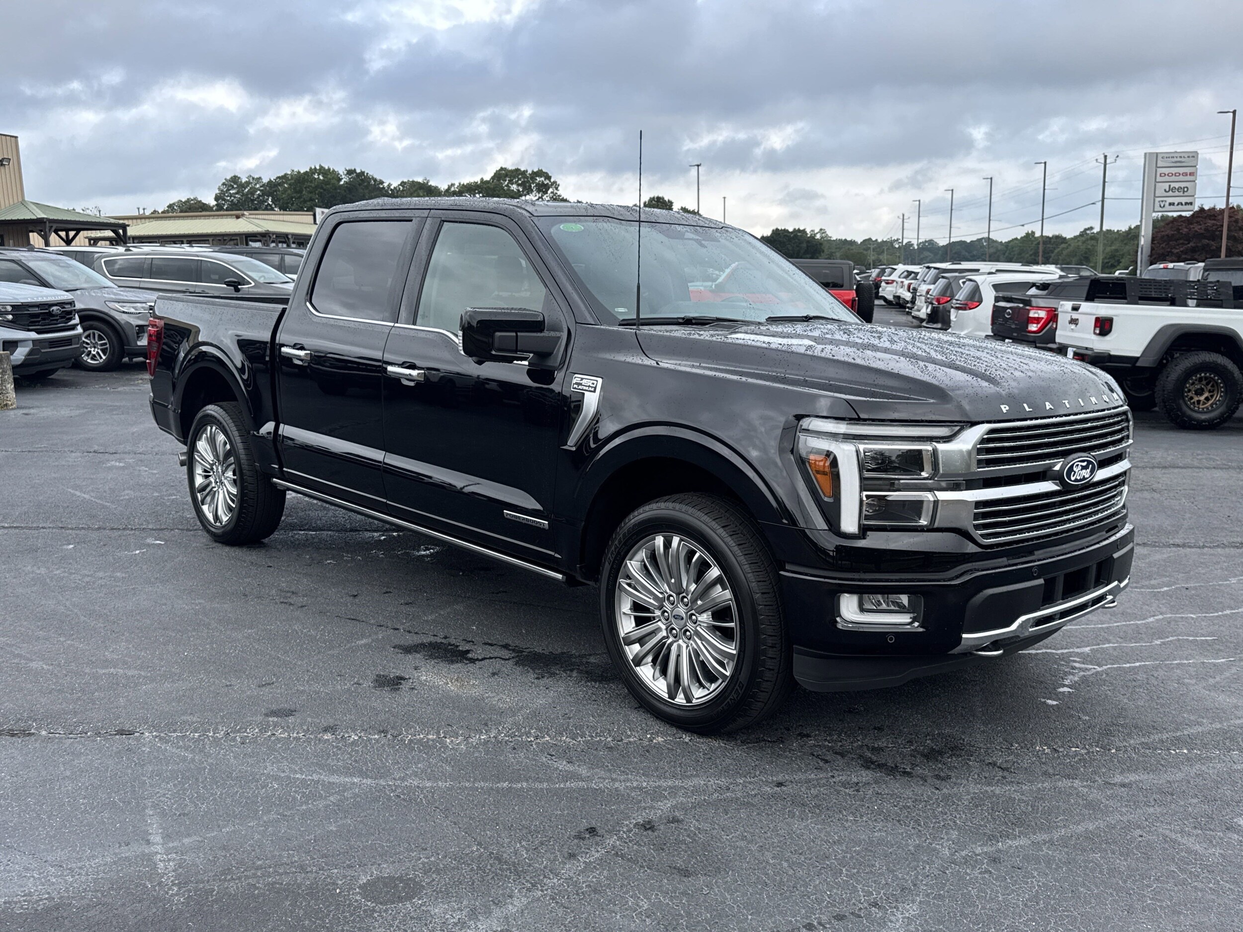 2024 Ford F-150 Platinum photo 4