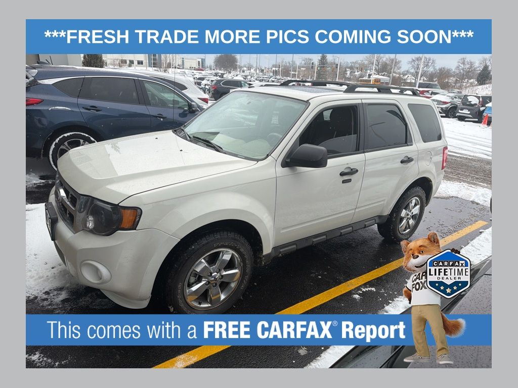 2010 Ford Escape XLT
