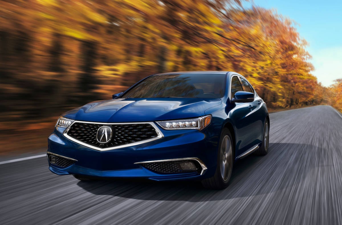 2019 Acura TLX Acura TLX Midsize Luxury Sedan on Autumnal Road