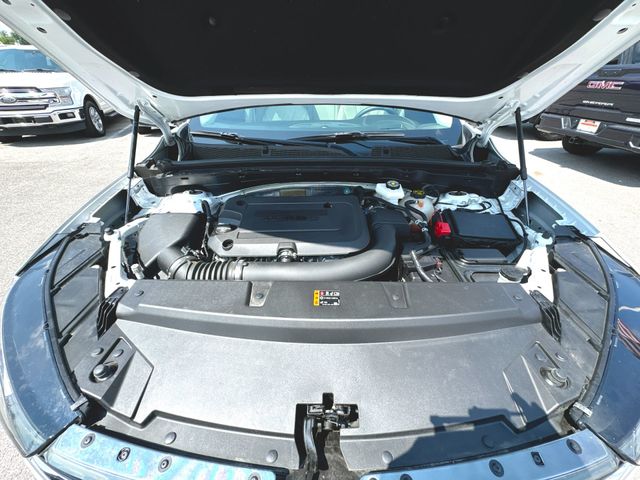 Photo 31