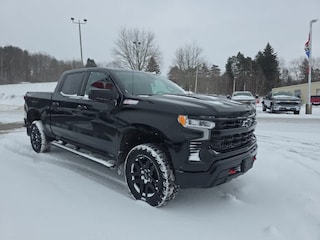 2023 Chevrolet Silverado 1500 LT Trail Boss Truck