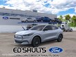 Ford Mustang Mach-E