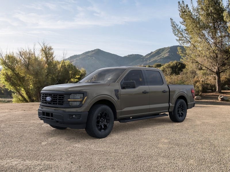 2025 Ford F-150 STX's photo