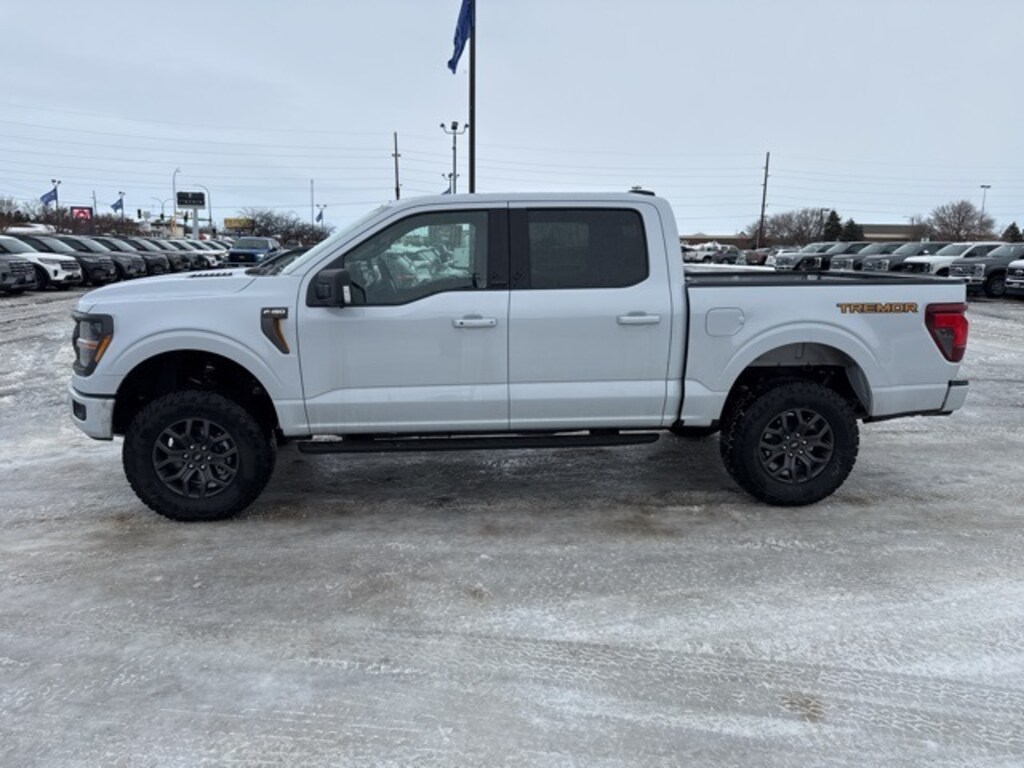 Used 2025 Ford F-150 Tremor Truck