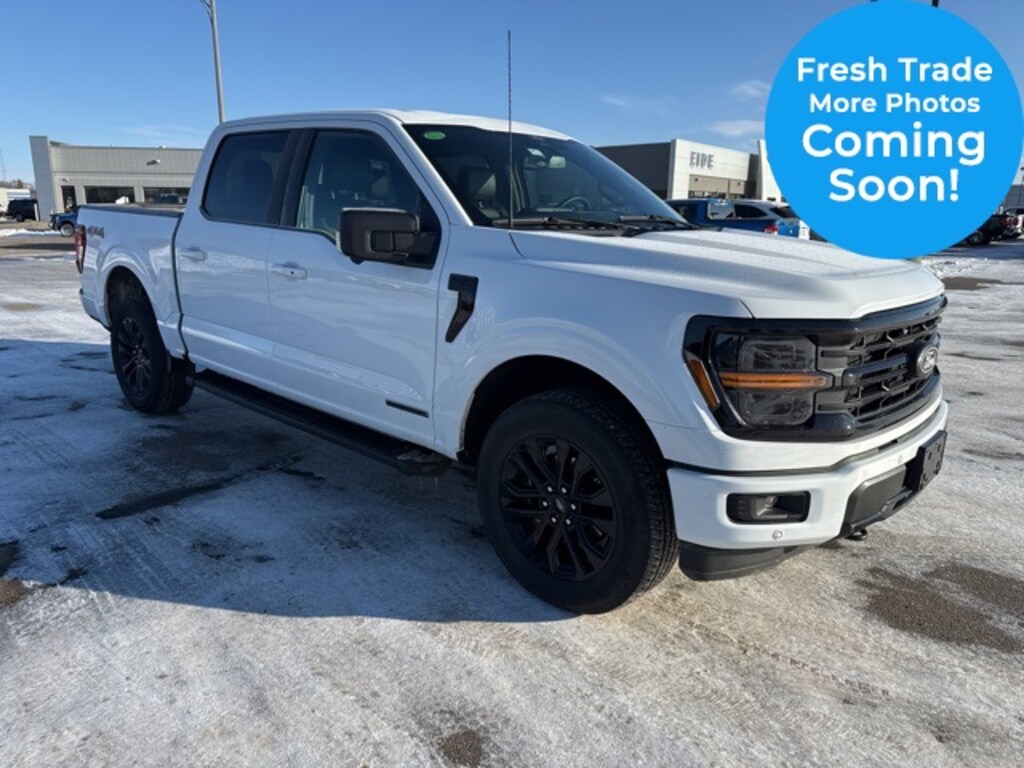 Used 2024 Ford F-150 XLT Truck
