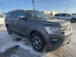  Ford Expedition Max