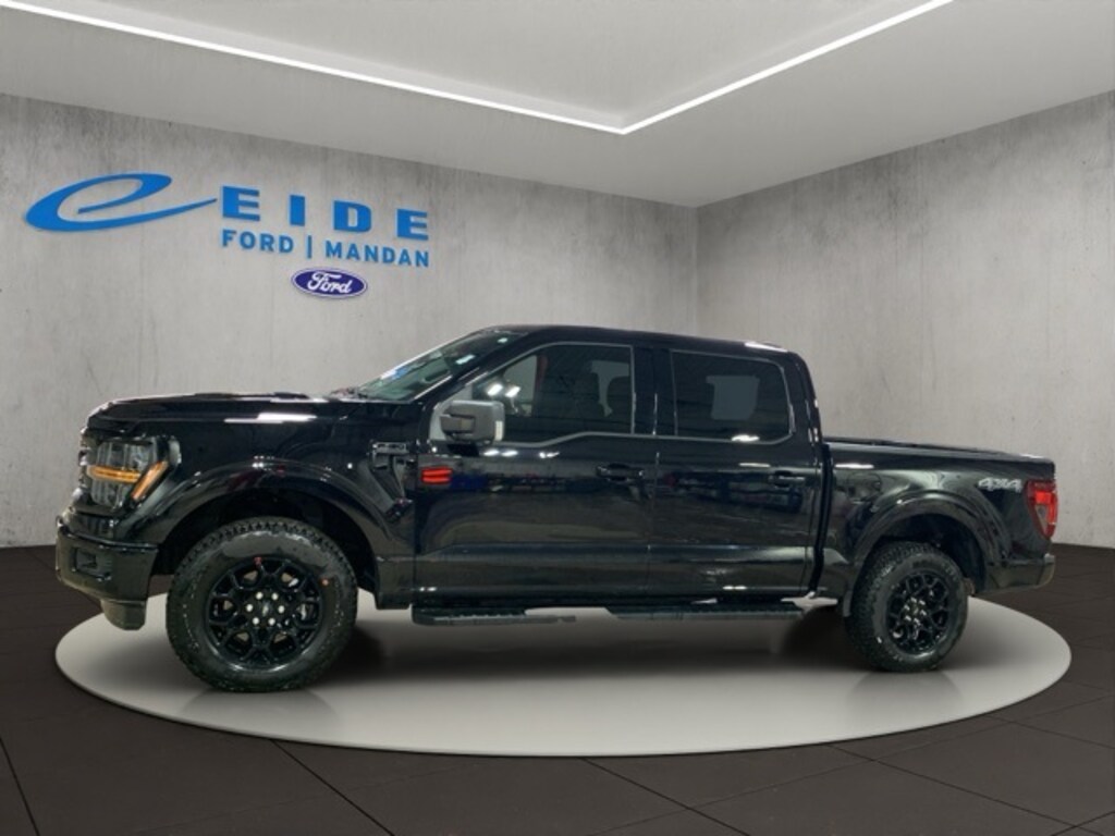 Used 2025 Ford F-150 XLT Truck