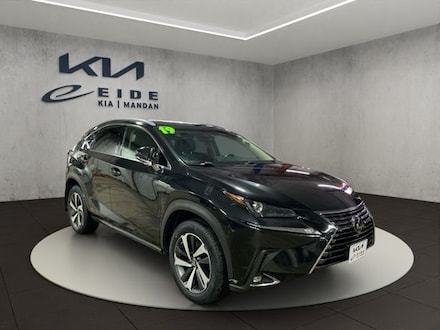 2019 LEXUS NX 300 SUV