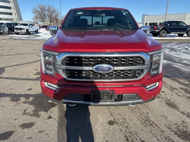2022 Ford F-150 Platinum photo 3