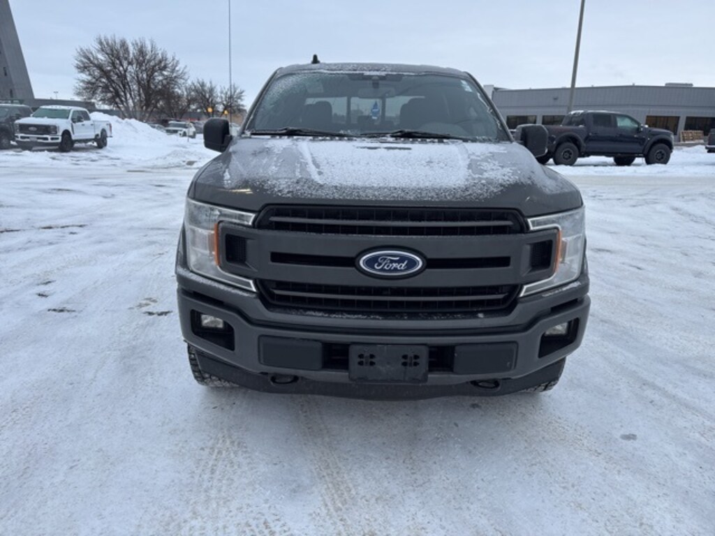 Used 2019 Ford F-150 XLT Truck