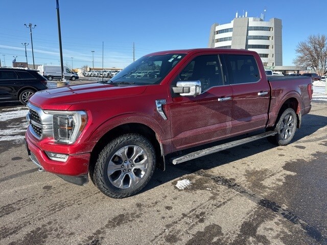2022 Ford F-150 Platinum photo 2