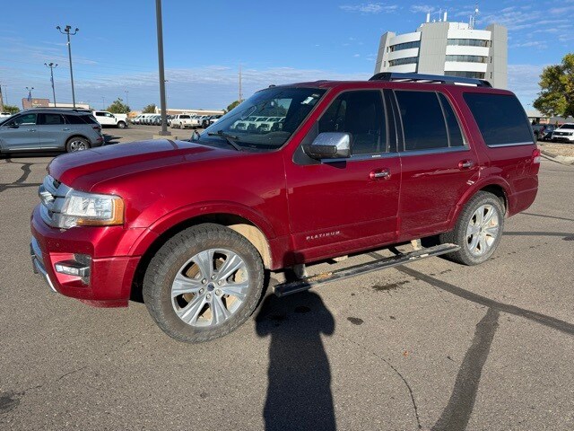 2017 Ford Expedition Platinum photo 2