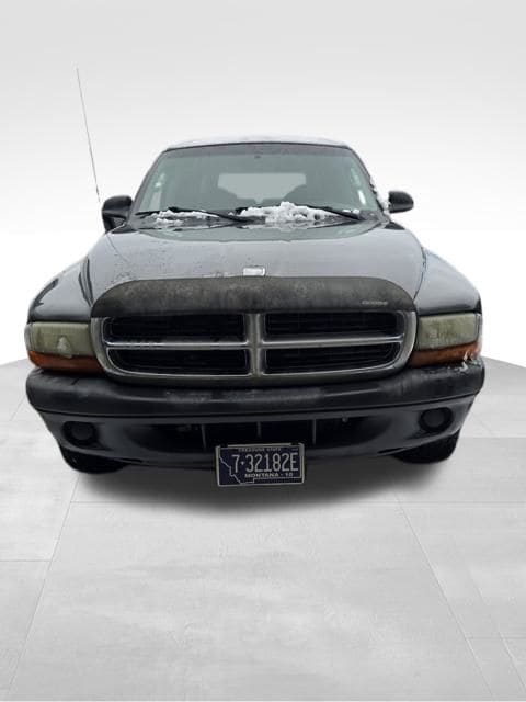2004 Dodge Dakota Sport's photo
