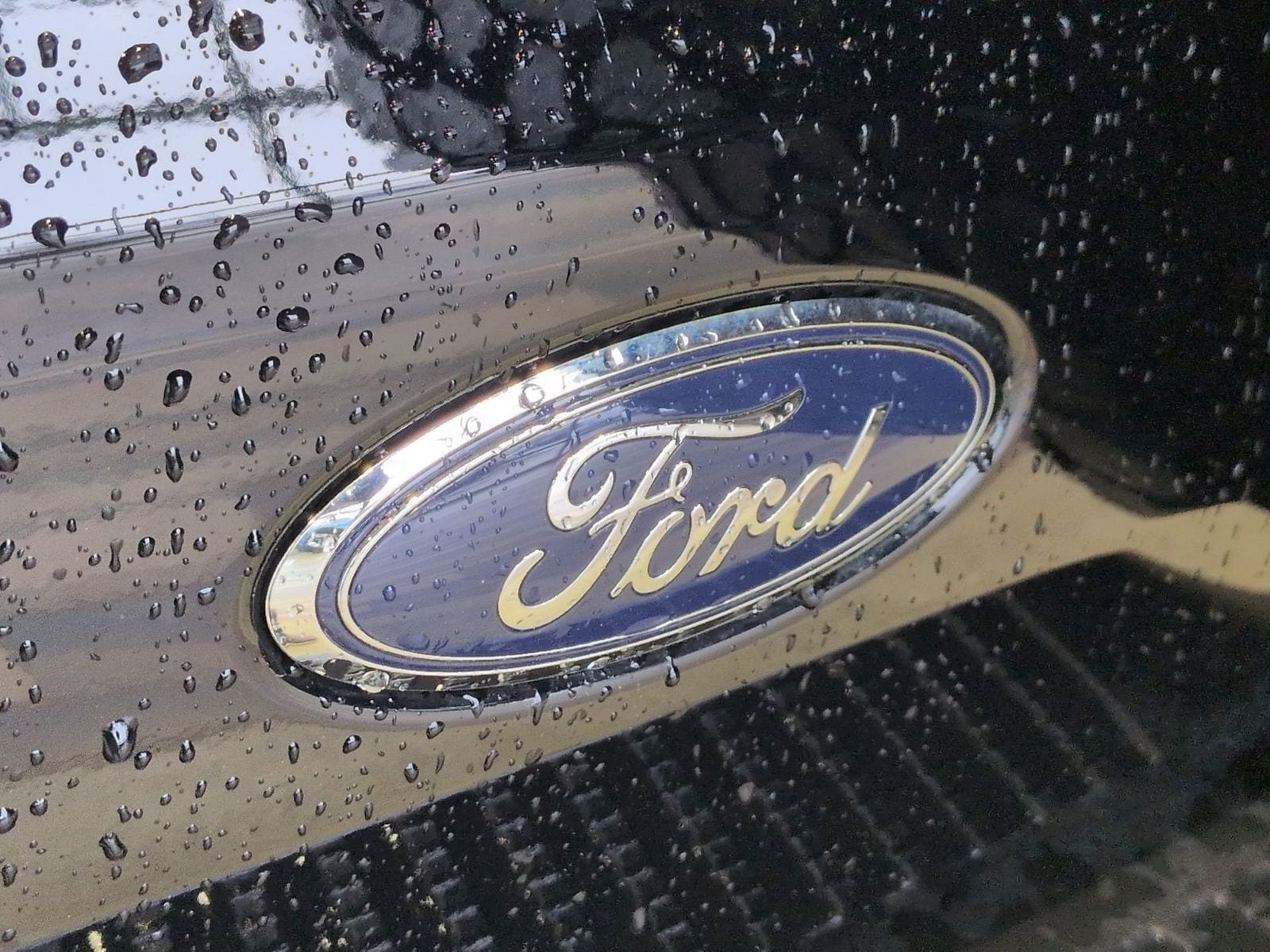 Thumbnail: 2025 Ford Bronco - 14