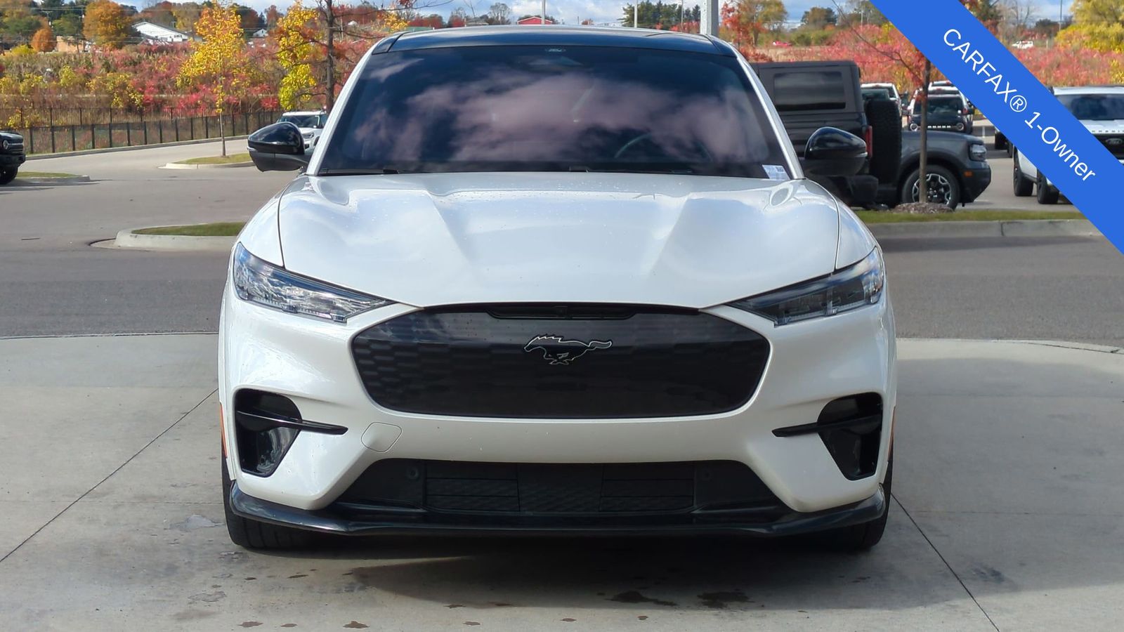 Thumbnail: 2021 Ford Mustang Mach-E - 12