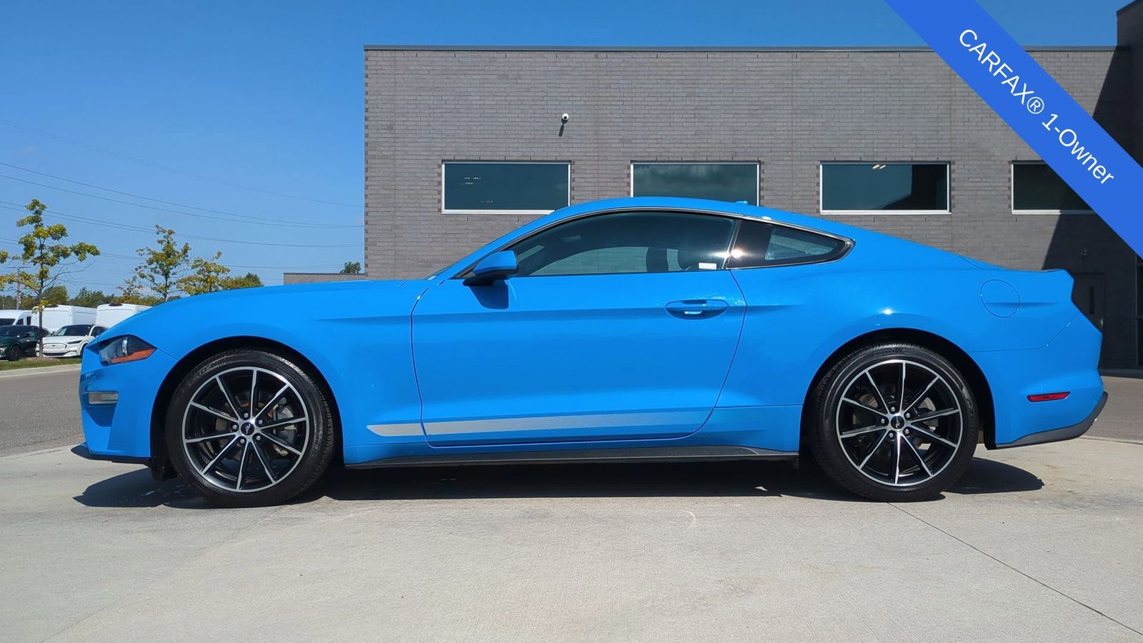 2022 Ford Mustang EcoBoost photo 3