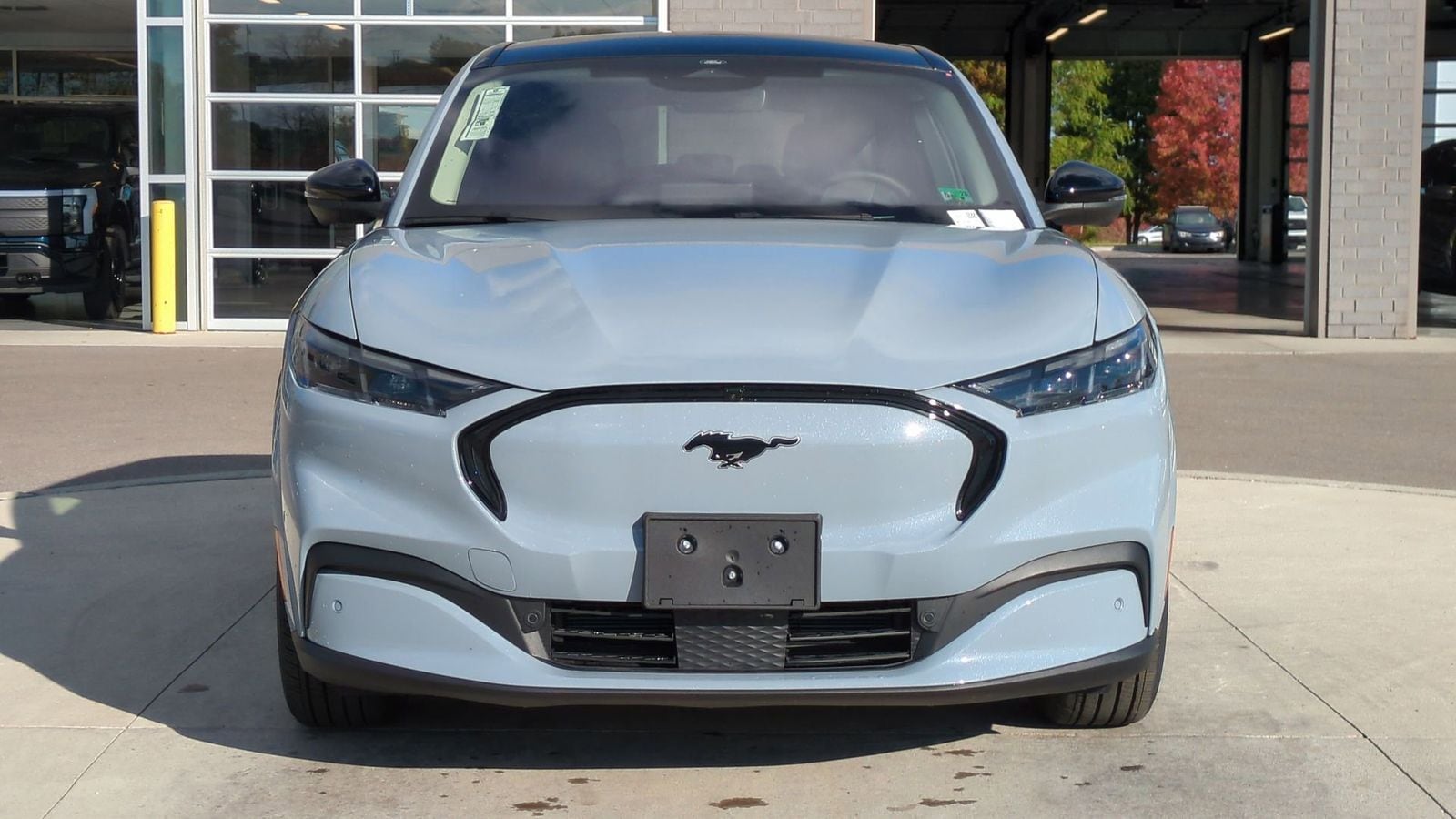 Thumbnail: 2025 Ford Mustang Mach-E - 8