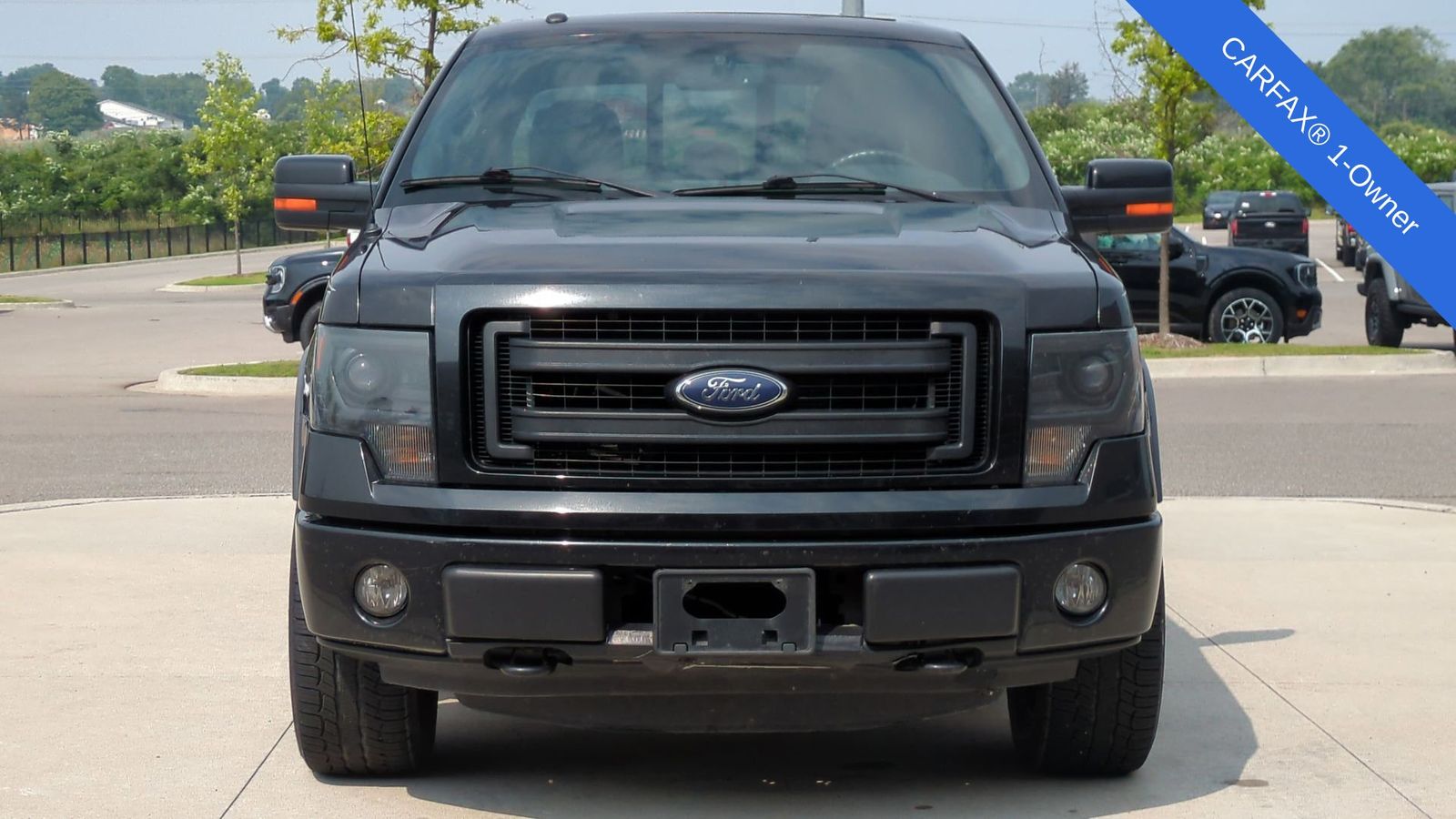 Thumbnail: 2014 Ford F-150 - 10